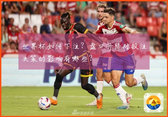 世界杯如何下注？盘口升降对投注决策的影响有哪些？