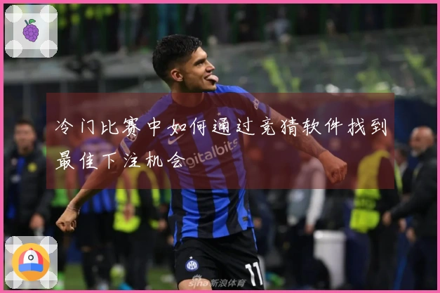 冷门比赛中如何通过竞猜软件找到最佳下注机会