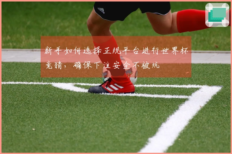 新手如何选择正规平台进行世界杯竞猜，确保下注安全不被坑