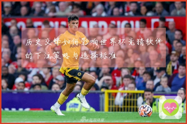 历史交锋如何影响世界杯竞猜软件的下注策略与选择标准