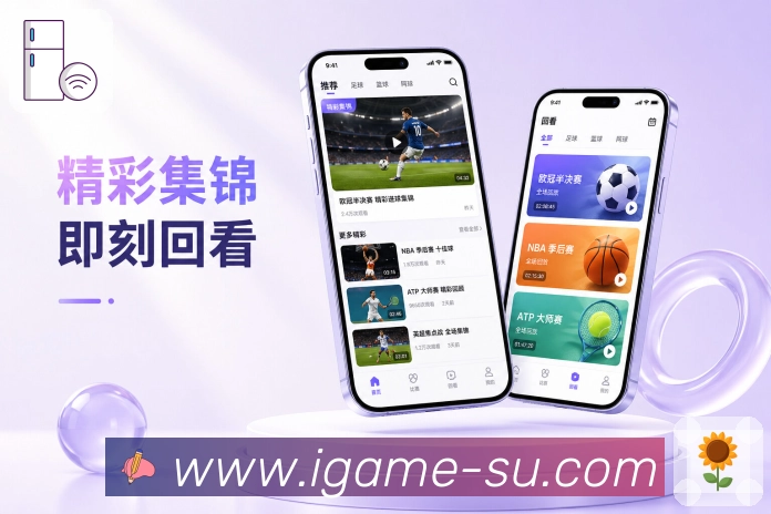 <strong>爱游戏</strong>记录续看展示